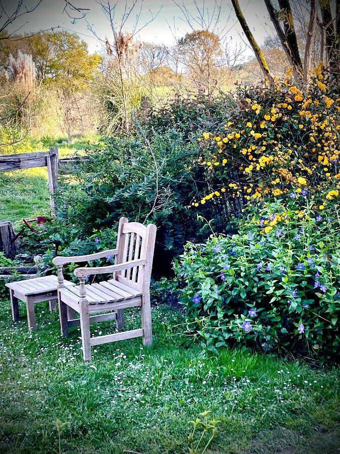 Location de vacances pour 2 personnes, avec jardin et vue dans Castaignos-Souslens - 2