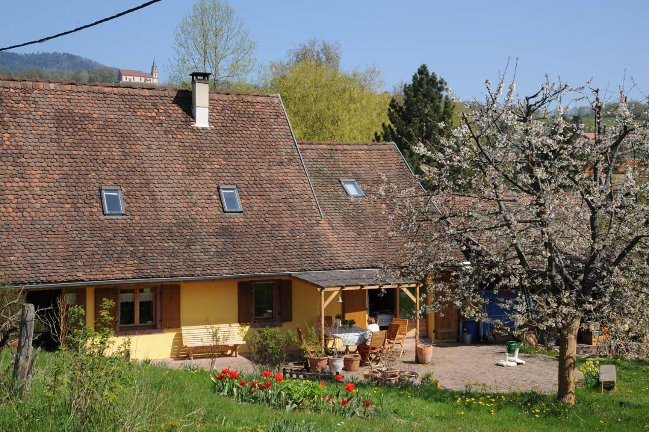 Double or Twin Room with Garden View in Thanvillé, Région de Sélestat-Erstein