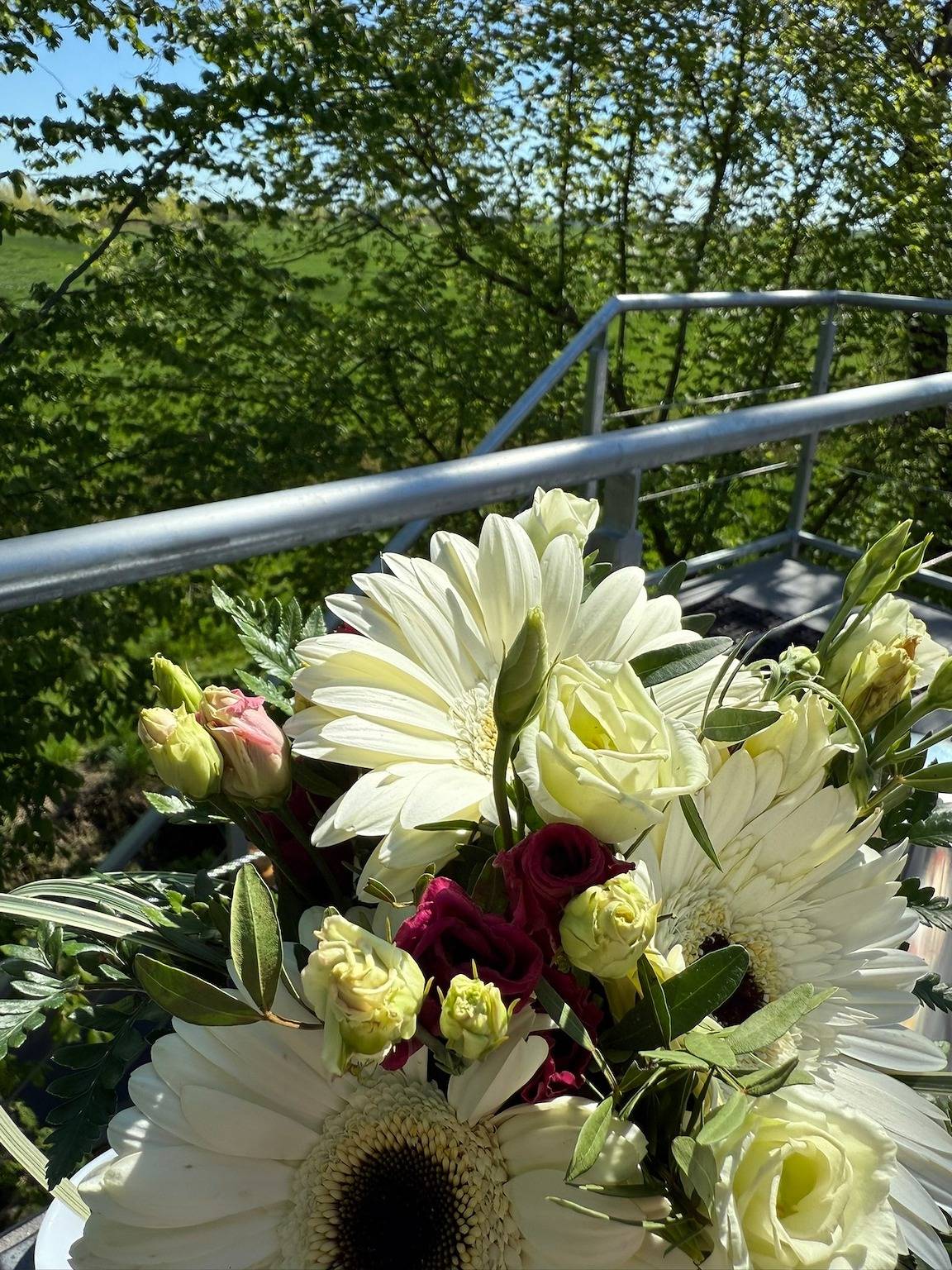 Ganze Ferienwohnung, Ferienwohnung Krabbenkoje - Nordseeurlaub in hochwertiger Fewo mit großem Balkon im idyllischen Butjadingen in Eckwarden, Butjadingen