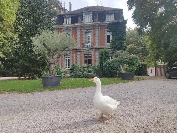 Hôtel pour 2 personnes, avec vue et jardin, animaux acceptés