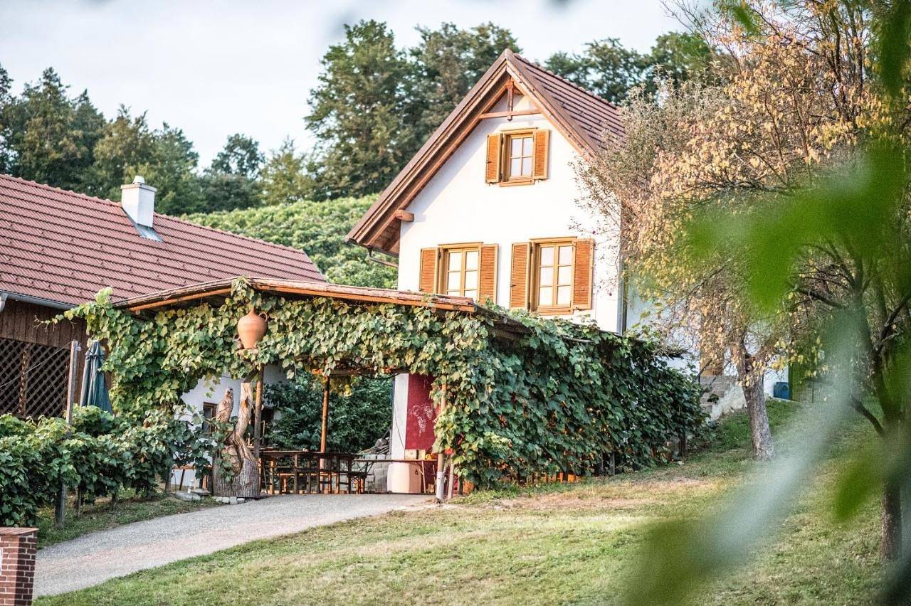 Wiener Kellerstöckl - Das 13er in Eltendorf, Bezirk Jennersdorf