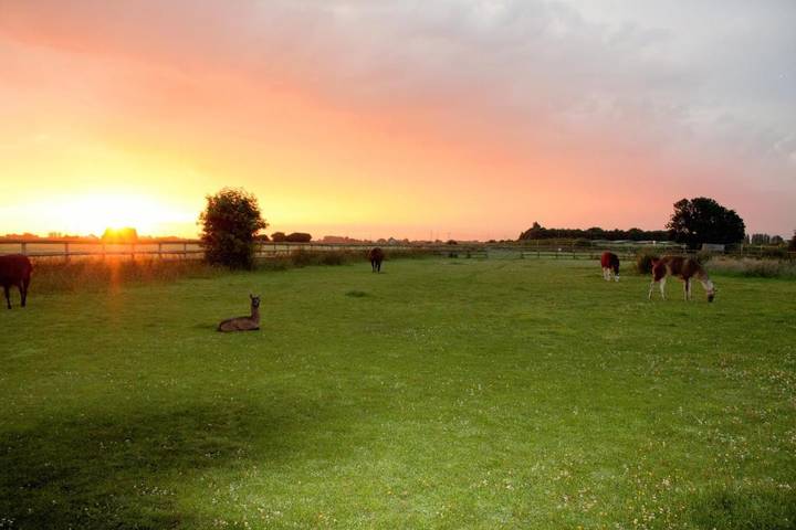 Camping for 2 people, with Hot tub and Terrace in Norfolk