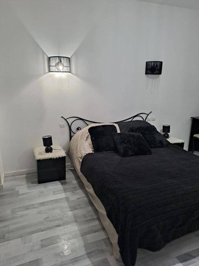Appartement entier, Château du Vergnet in Viterbe, Région de Castres