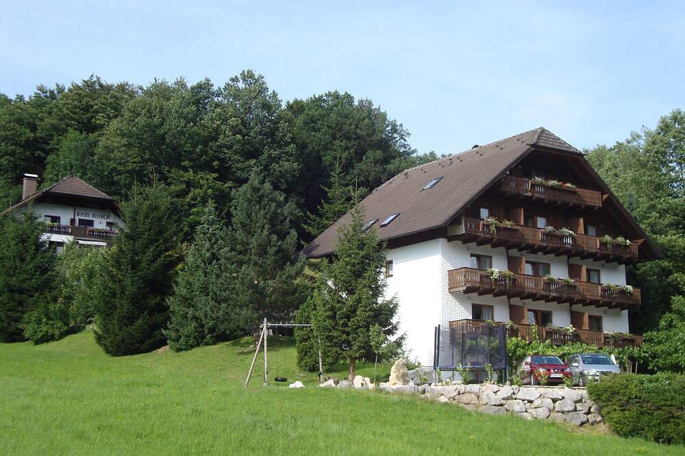 Ganze Wohnung, Appartment 1-3 Personen - Ferienwohnungen Haus Bianca und Sterngut in Salzkammergut-Berge, Unterach am Attersee
