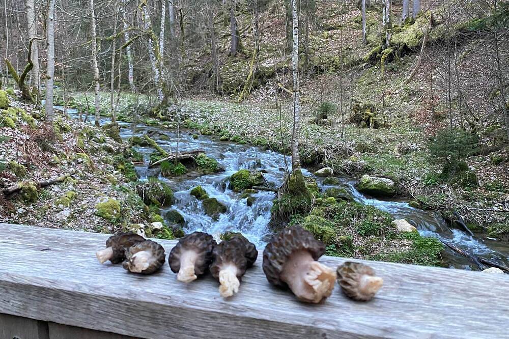 Chalet Myriam in Prémanon, Regionaler Naturpark Hochjura