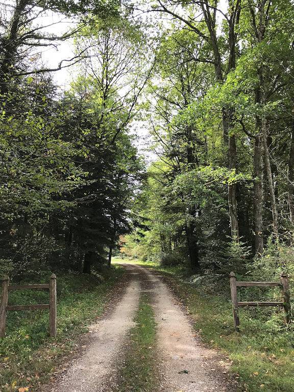 Gîte pour 8 personnes, avec terrasse et jardin à Saint-Sauveur-en-Puisaye - 4