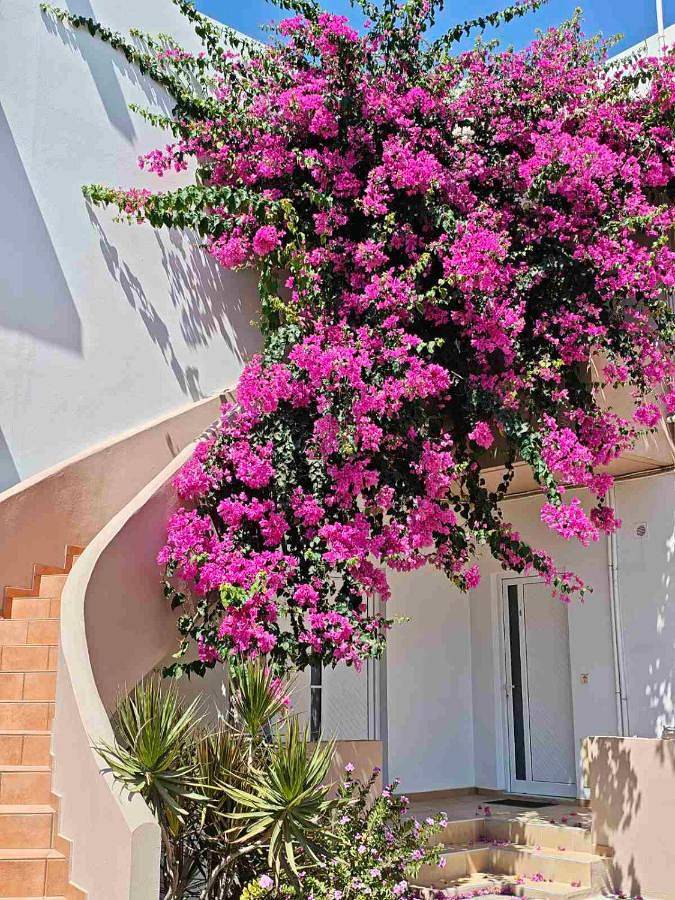 Appartement de vacances pour 2 personnes, avec Balcon et Terrasse ainsi que Jardin et Vue