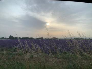 Location de vacances pour 6 personnes, avec jardin ainsi que piscine et vue à Le Garn