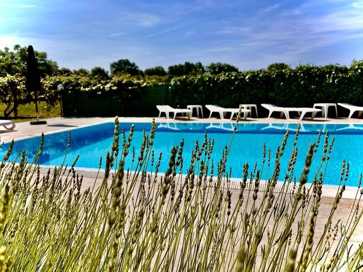 Location de vacances pour 2 personnes, avec terrasse ainsi que piscine et jardin à Poreč - 2