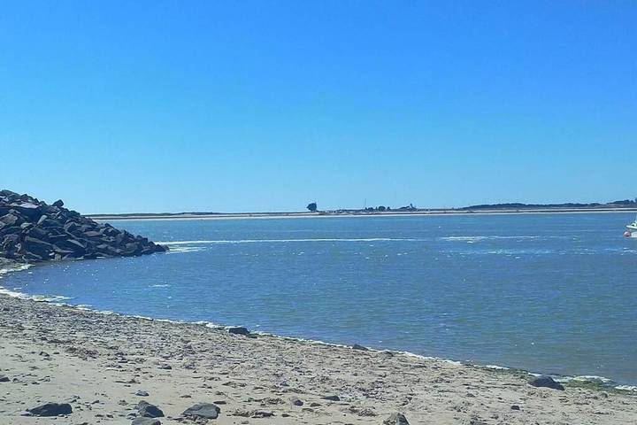 Location de vacances pour 2 personnes, animaux acceptés à Montmartin-sur-Mer - 2