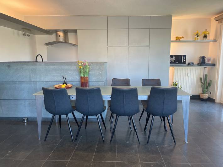Ferienwohnung für 6 Personen, mit Balkon/Terrasse und Terrasse sowie Garten in Nieuwpoort - 3