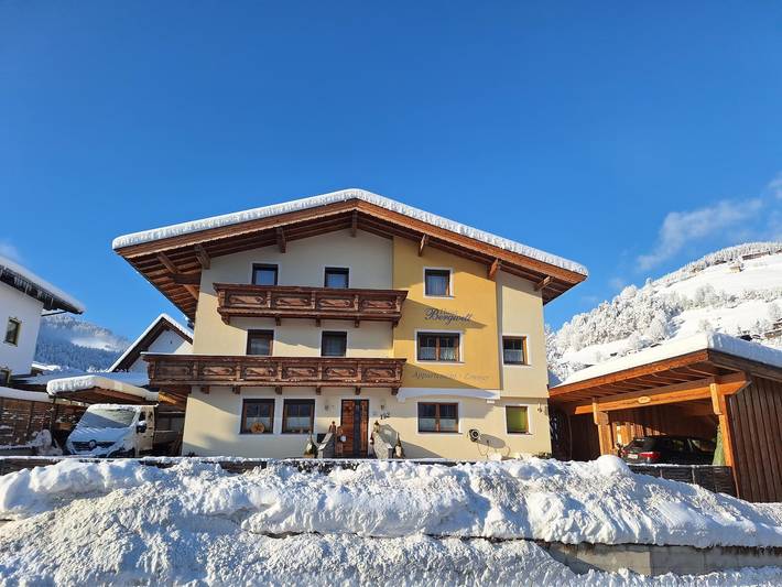 Appartement voor 6 personen, met balkon, met huisdier in Niederau