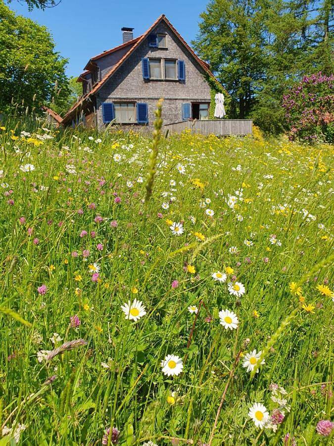 Ferienhaus für 9 Personen, mit Ausblick und Garten, mit Haustier in Rhön-Hessen - 2