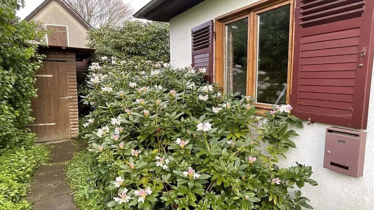 Ferienhaus für 5 Personen (70 m²) in Tätendorf-Eppensen in Barum, Landkreis Uelzen