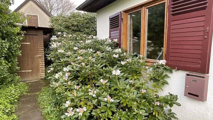 Ferienhaus für 5 Personen, mit Garten in Landkreis Uelzen - 2