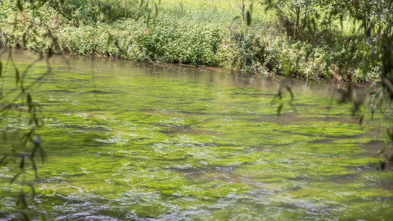 Ganze Ferienwohnung, Ferienwohnung für 2 Personen (8 m²) in Wildberg (Baden-Württemberg) in Wildberg, Nordschwarzwald