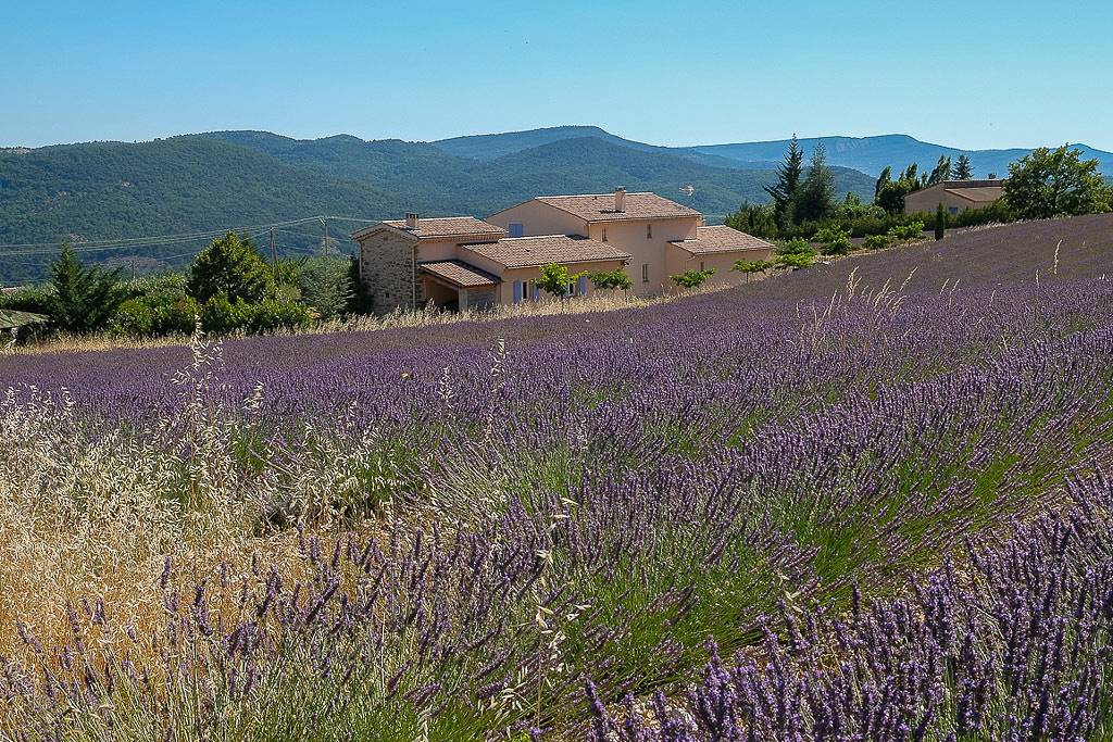 Bastide Saint-Pierre in Cruis, Forcalquier region