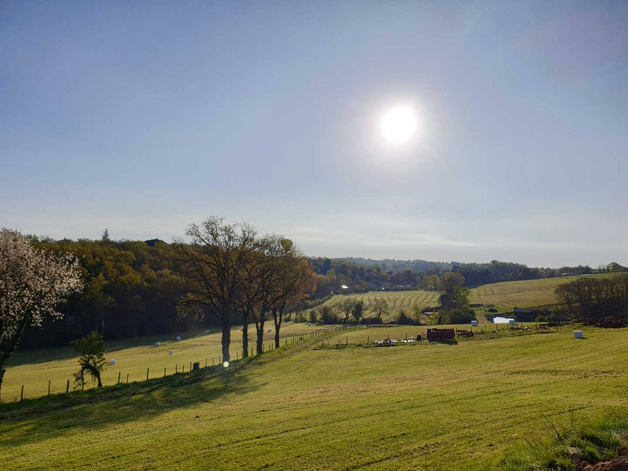Hirondelle in Cambon (homonymie), Région d'Albi