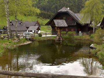 Ferienpark für 5 Personen in Donnersbachwald, Steiermark, Bild 4