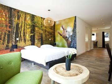 Chalet voor 2 Personen in Veluwe, Afbeelding 2