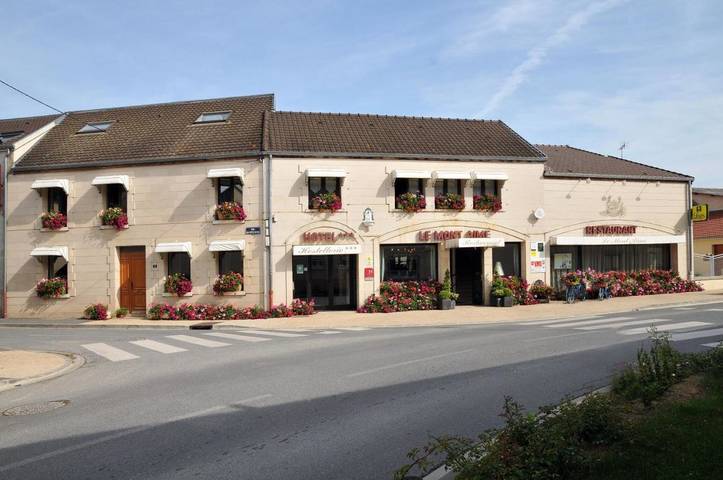 Hôtel pour 2 personnes, avec terrasse et jardin ainsi que piscine et sauna, animaux acceptés à Bergères-lès-Vertus - 4