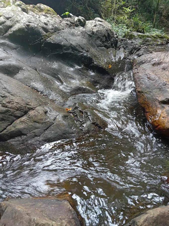 Location de vacances pour 11 personnes, avec vue ainsi que jardin et terrasse à Païta - 4