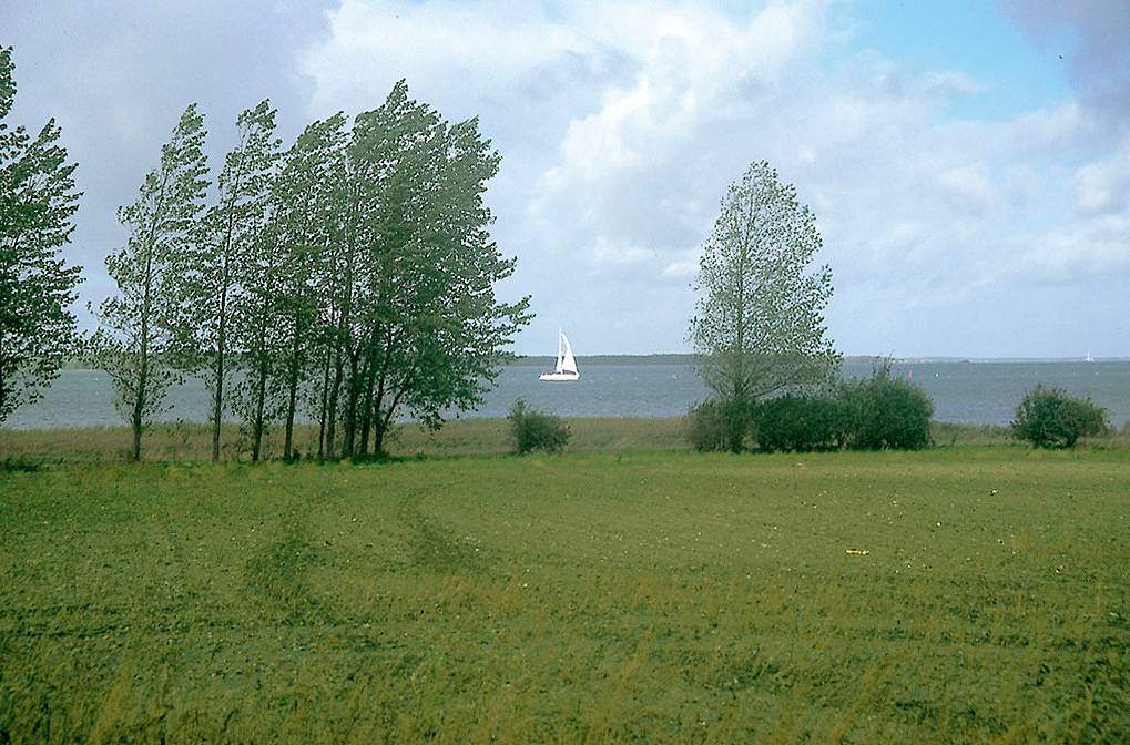 Ferienhaus "Lachmöwe" in Vaschvitz, Trent