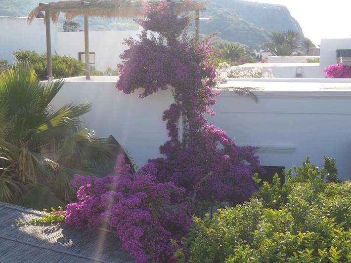 Location de vacances pour 6 personnes, avec vue et jardin, animaux acceptés dans Stromboli - 3