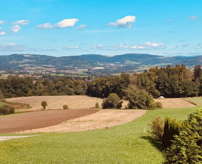 Ferienhaus für 11 Personen, mit Garten und Ausblick, mit Haustier in Passauer Land - 4