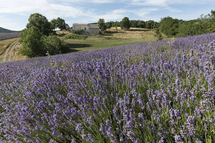 Location de vacances pour 20 personnes, avec terrasse et sauna ainsi que jacuzzi et jardin à Redortiers
