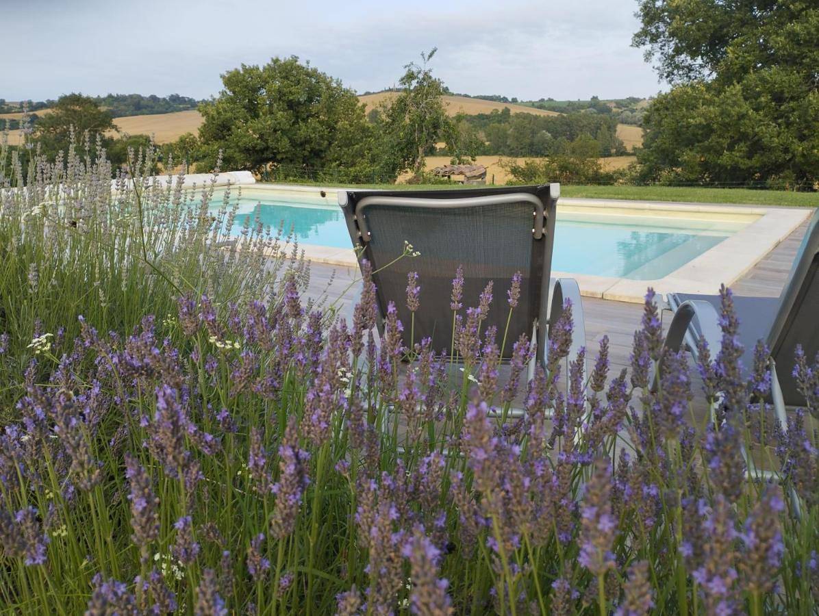 Gîte cosy en pleine nature à Grazac in Grazac (Tarn), Région d'Albi