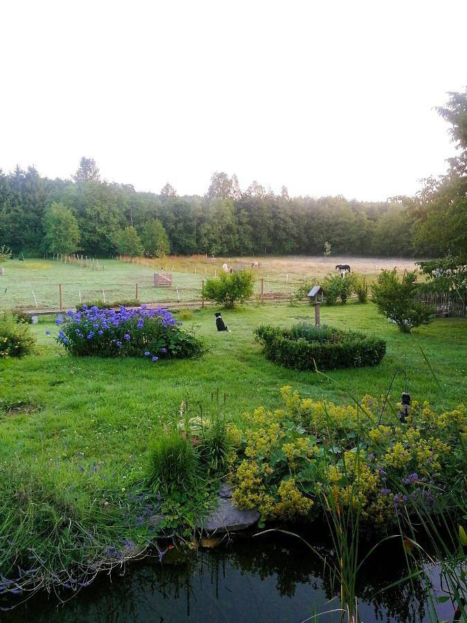 Chambre d’hôte pour 3 personnes, avec vue ainsi que terrasse et jardin