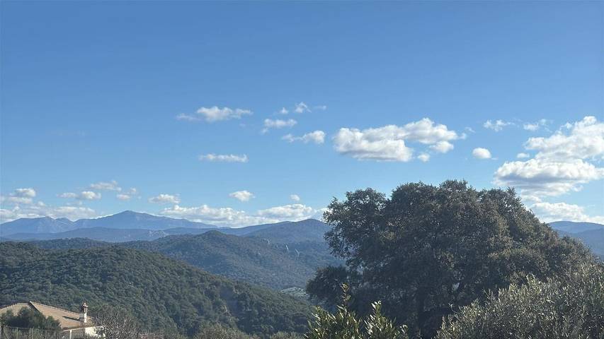Casa rural para 6 personas, con jardín, Se admiten mascotas en Parque natural de Los Alcornocales - 2