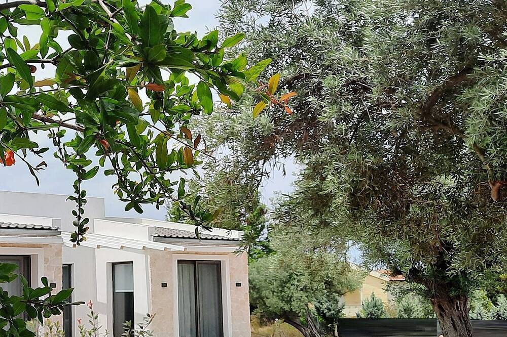 Junior Suite With Private Swimming Pool in Vourvourou, Sithonia Halbinsel