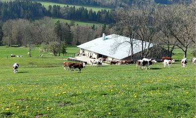 Gîte pour 6 personnes, avec terrasse à Jougne
