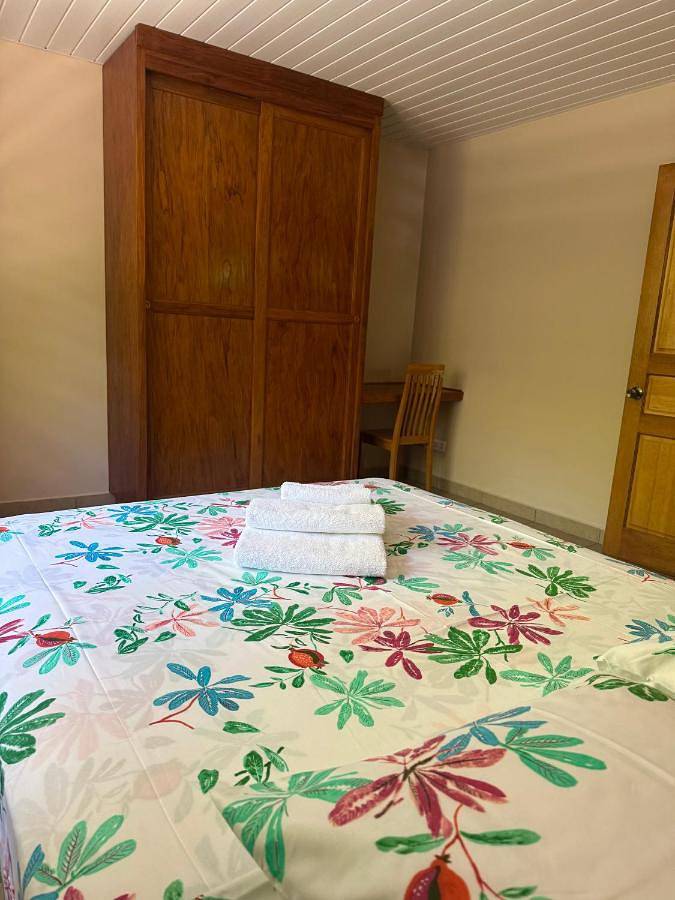 Gîte pour 2 personnes, avec jardin ainsi que vue et piscine dans Mataiea - 4