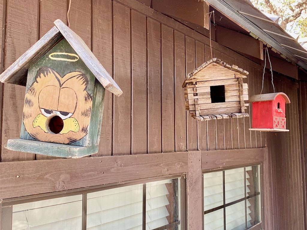 Sweet Riverside Cabin, Easy Walk 2 River, Private River Access, River Views! in Concan, Uvalde County