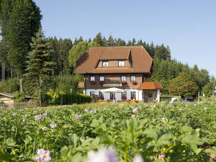 Gästehaus, mit Balkon/Terrasse und Terrasse sowie Garten in Titisee-Neustadt