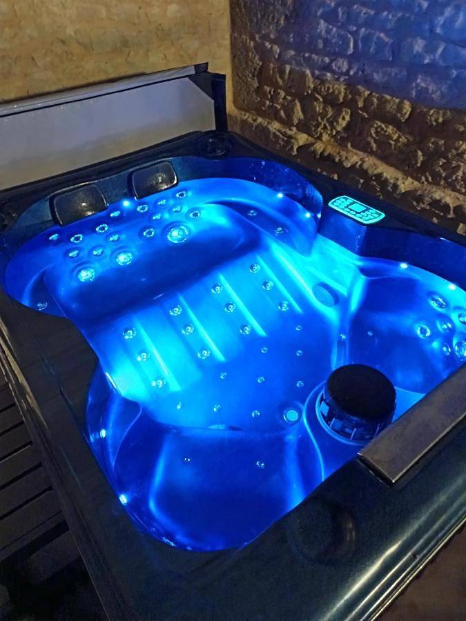 Maison d’hôte pour 2 personnes, avec jardin et vue sur le lac ainsi que vue et piscine, animaux acceptés dans le Tarn - 3