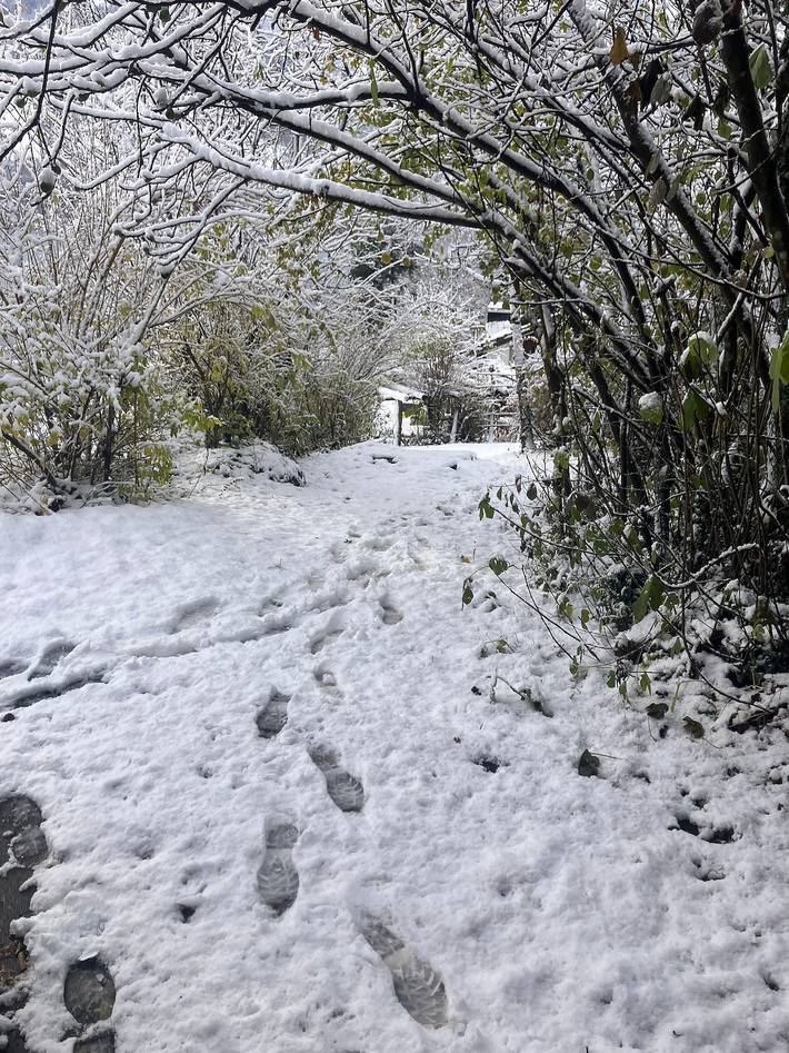 Ferienhaus für 7 Personen, mit Terrasse und Garten, mit Haustier in der Schweiz - 2