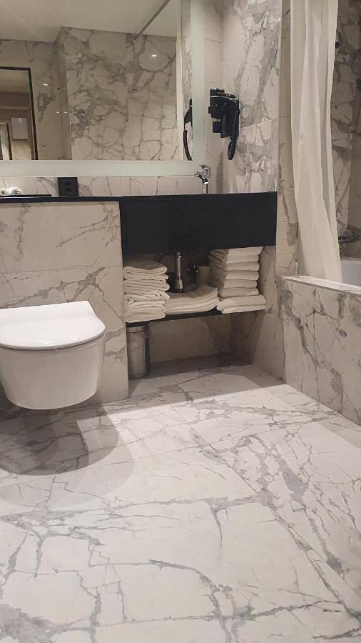 Hôtel pour 2 personnes, avec terrasse et sauna dans Aeroport De Geneve Cointrin - 3