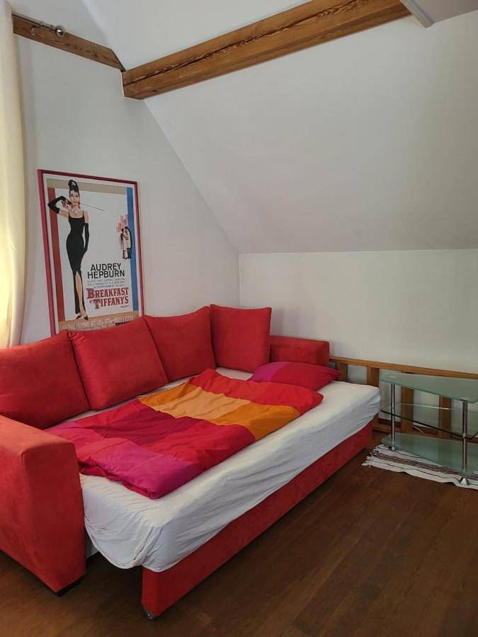 Gîte pour 5 personnes, avec jardin à Winterthour - 4