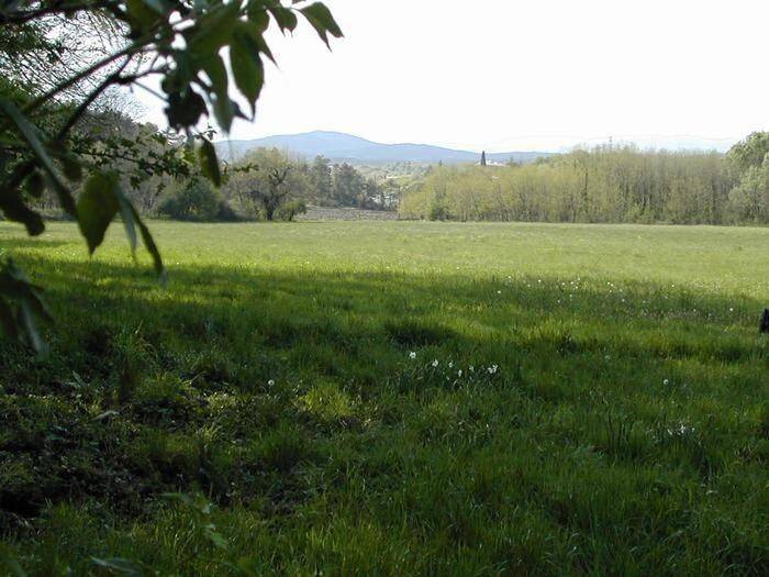 Gîte pour 5 personnes, avec terrasse et jardin, animaux acceptés à Montréal (Rhône-Alpes) - 2