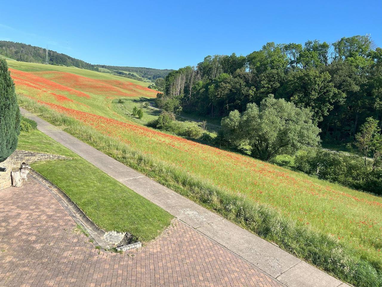 Ganze Ferienwohnung, Ferienwohnung am Clusberg - Appartement/Fewo, Dusche, Wc, 1 Schlafraum in Einbeck, Niedersachsen