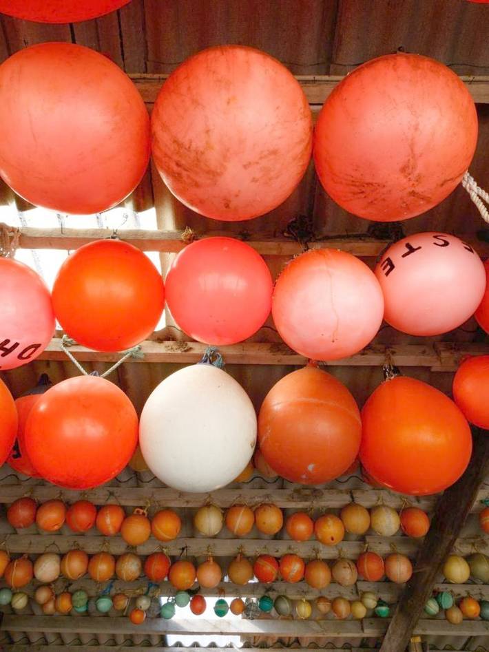 Gîte pour 5 personnes, avec vue et jardin à Schiermonnikoog - 2