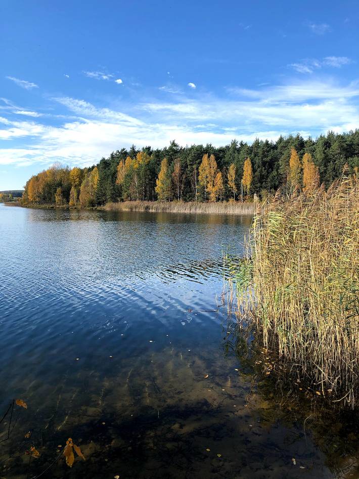 Ferienwohnung für 5 Personen am Brombachsee - 3