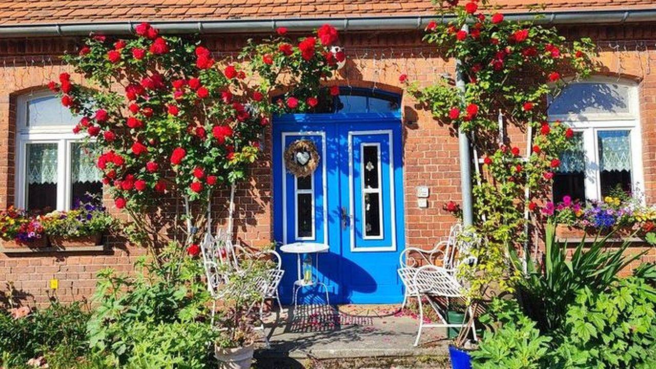 Vakantiewoning voor 4 Personen in Eldetal, Müritz