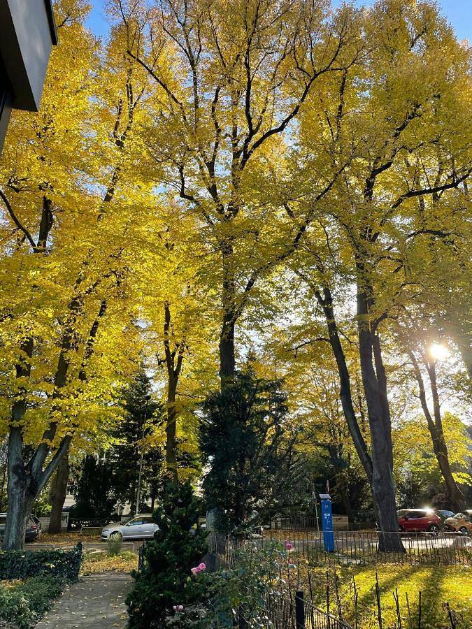 Ferienwohnung für 4 Personen, mit Ausblick und Sauna sowie Garten in Lübeck (Stadt) - 4