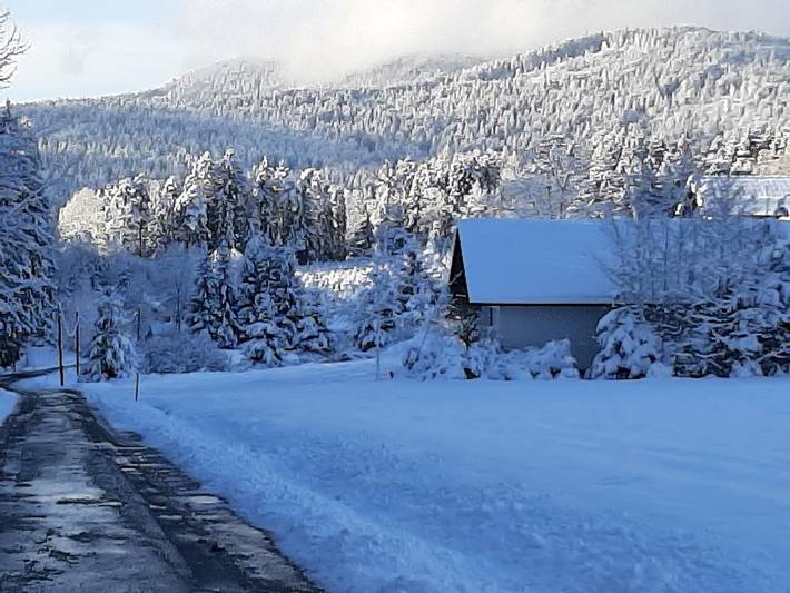 Ferienhaus für 3 Personen, mit Terrasse und Garten sowie Sauna, kinderfreundlich in Arnbruck - 3