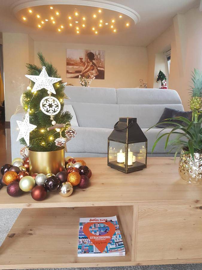 Appartement entier, One-Bedroom Apartment in Lingolsheim, Région de Strasbourg